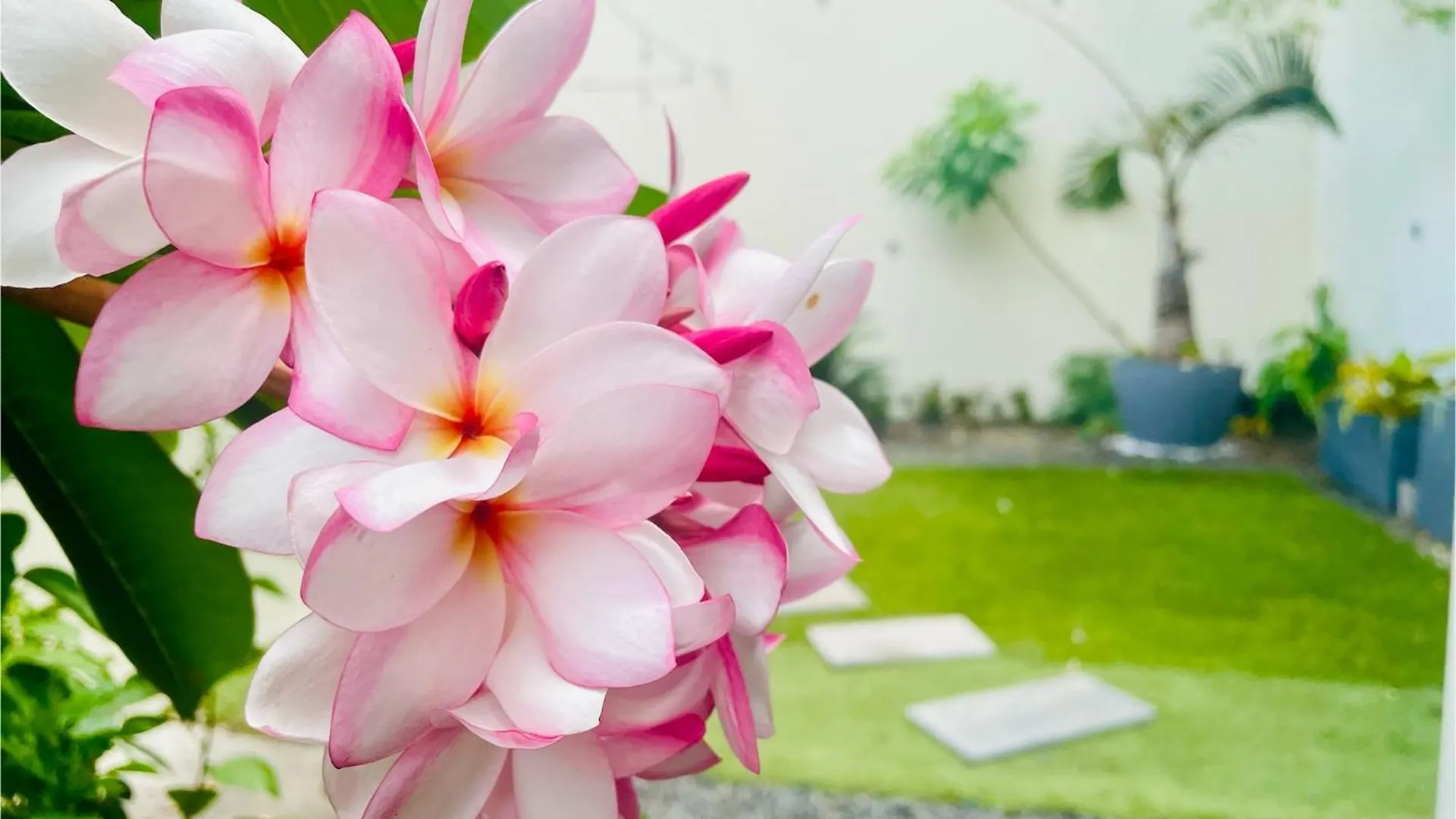 Villas Tropical & Exotic, 6 Chambres Avec 2 Piscines لو مول غوادلوب